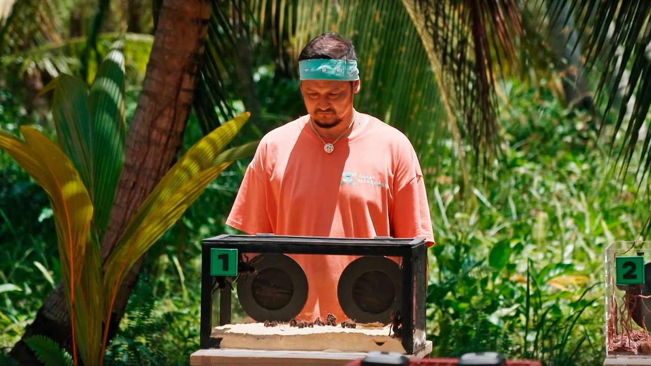 Звёзды в джунглях — Épisode 11