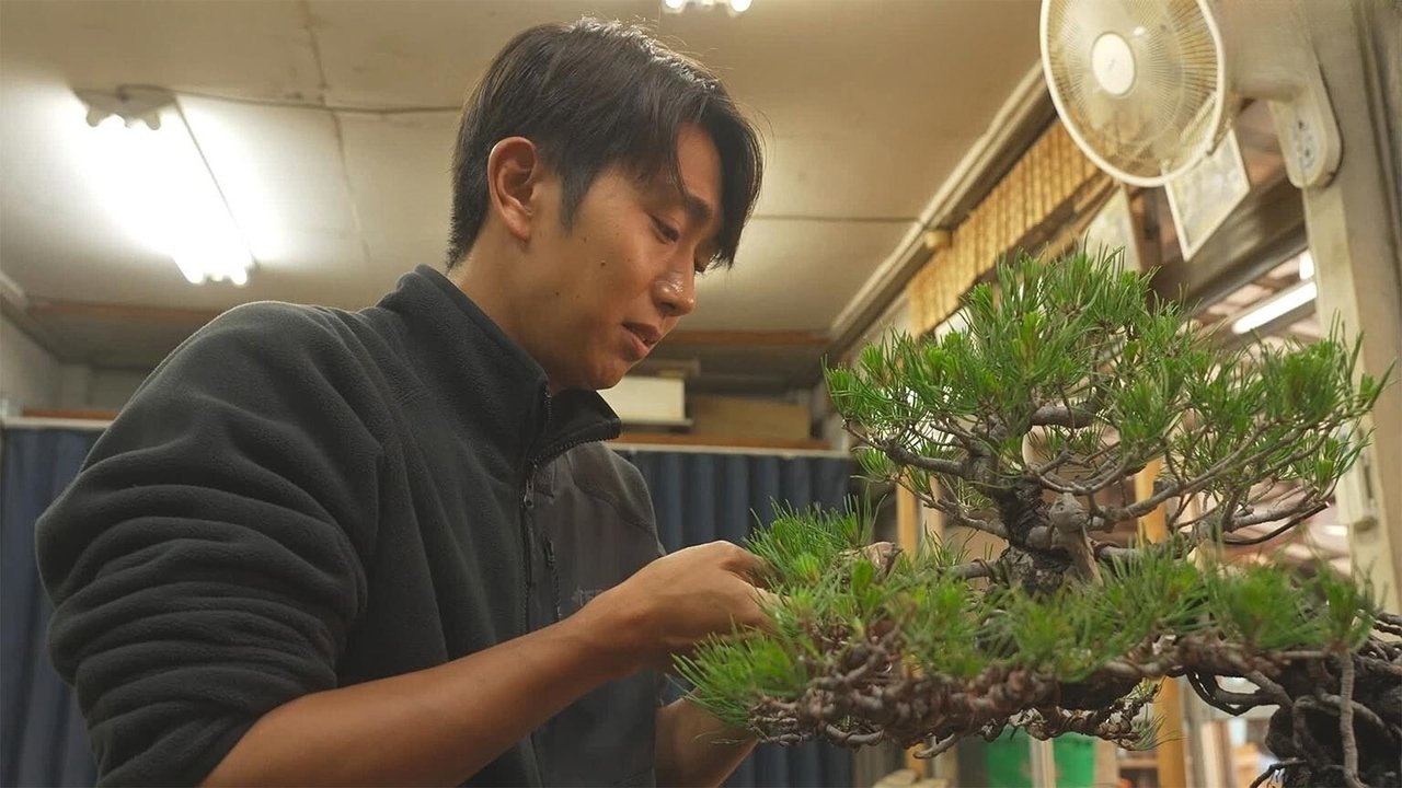Document 72 Hours - Season 13 Episode 16 : Bonsai Village: Growing a Small Universe in a Pot