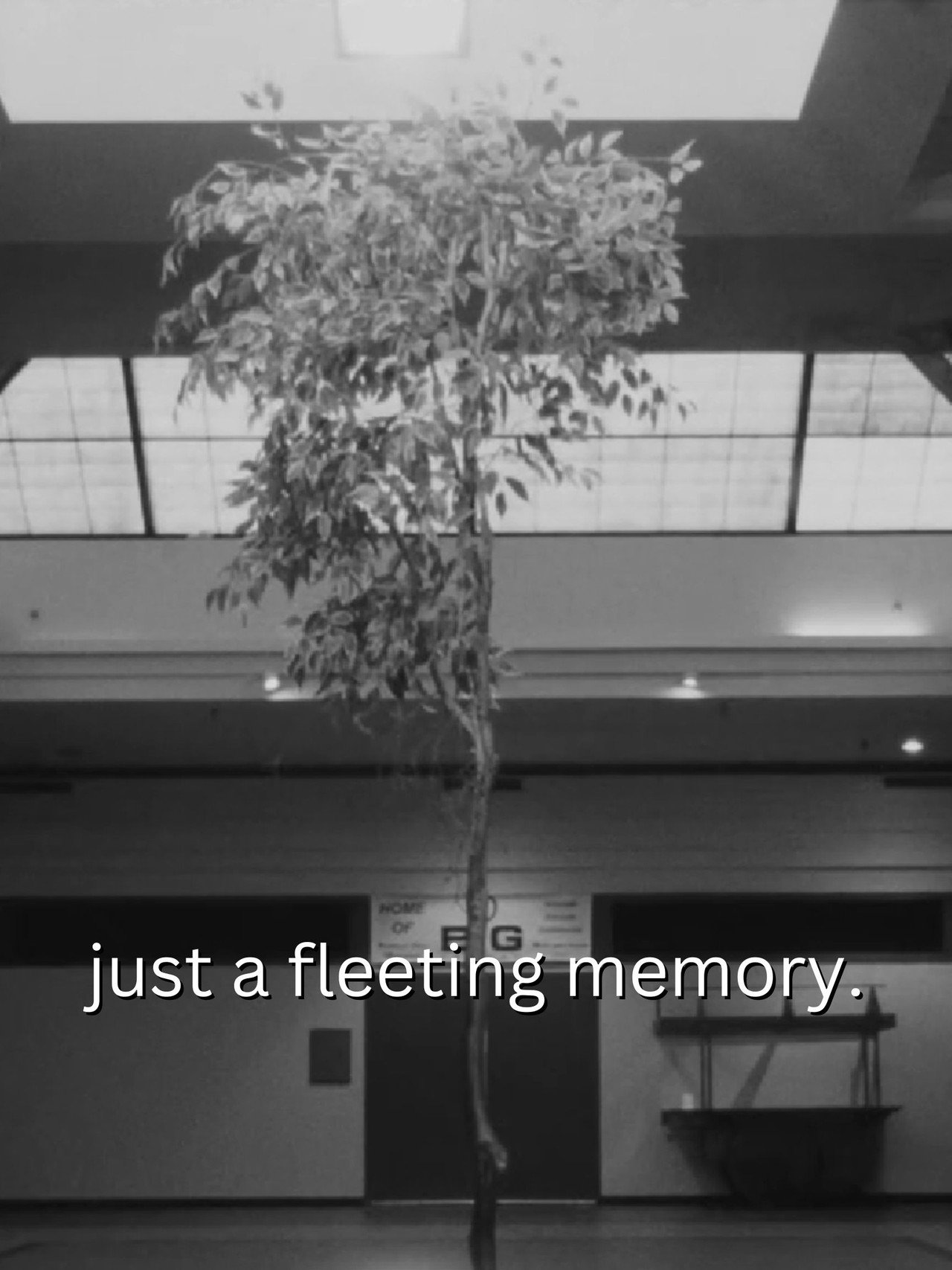 just a fleeting memory. filmaffisch