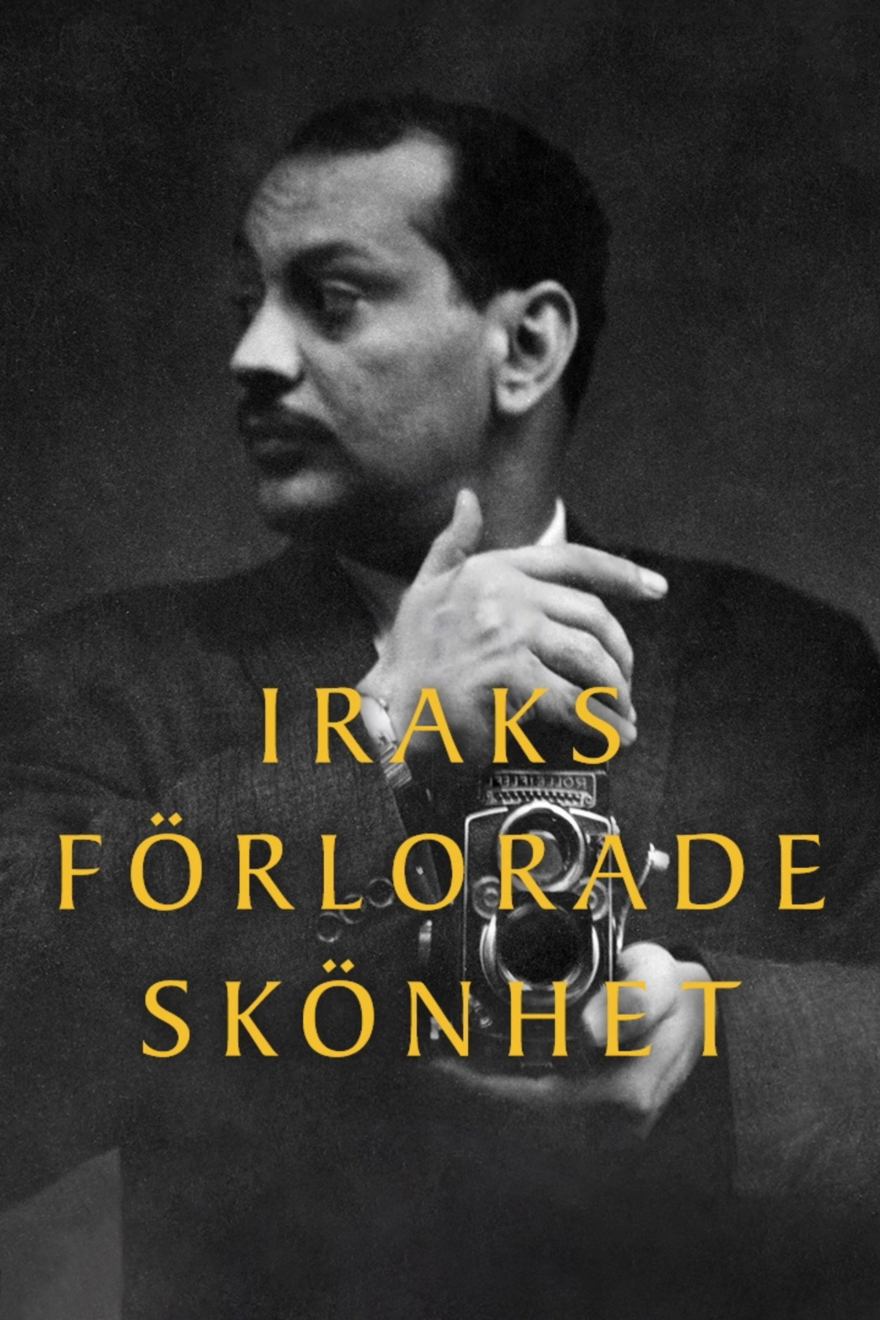 Iraks förlorade skönhet filmaffisch