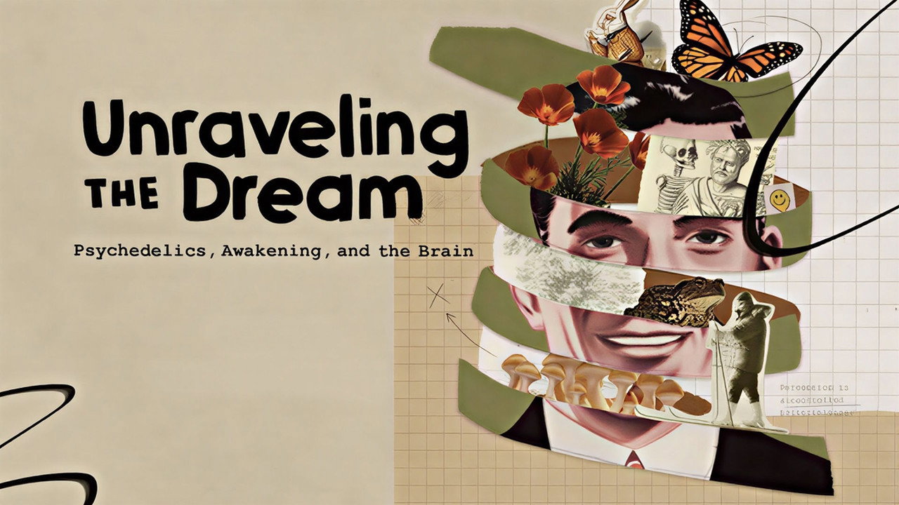 Unraveling the Dream