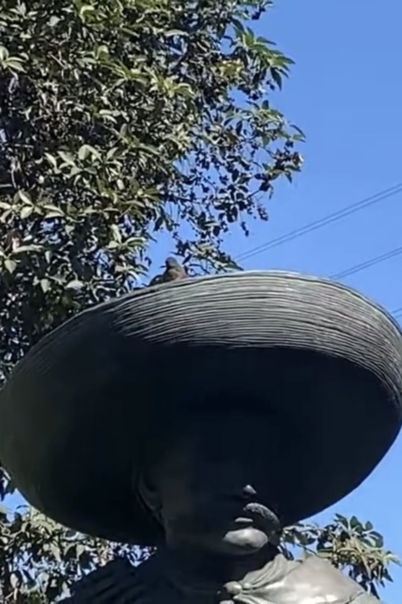 Chicano Park; A Cinematic Poem Backdrop