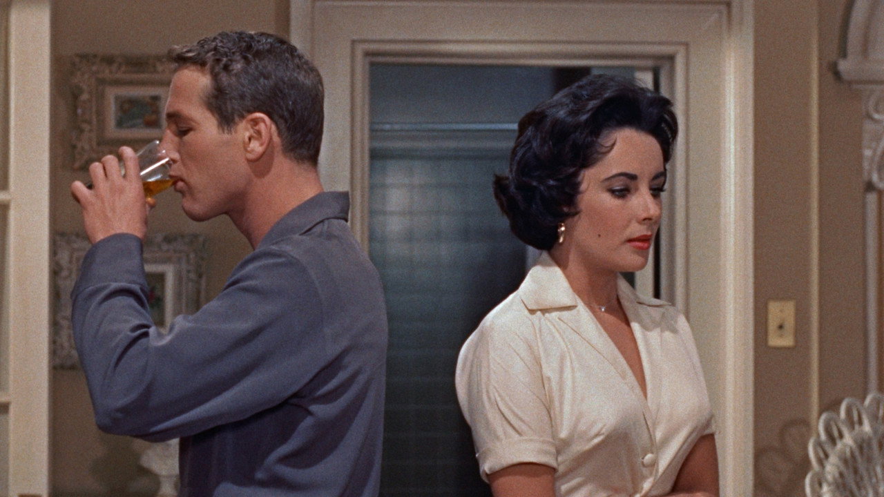 Cat on a Hot Tin Roof background 36