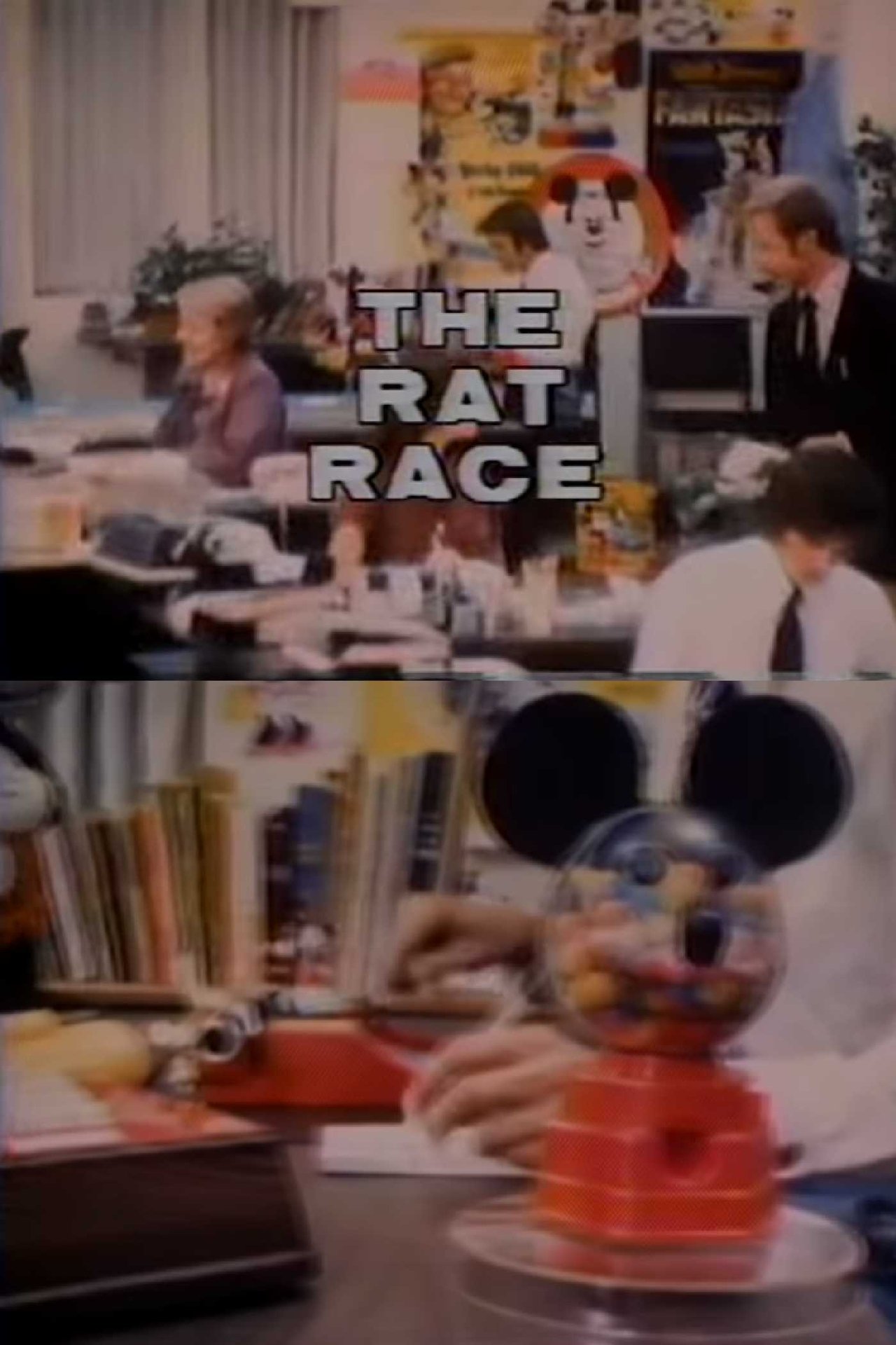مشاهدة فيلم The Rat Race مترجم بدون اعلانات - بوستر