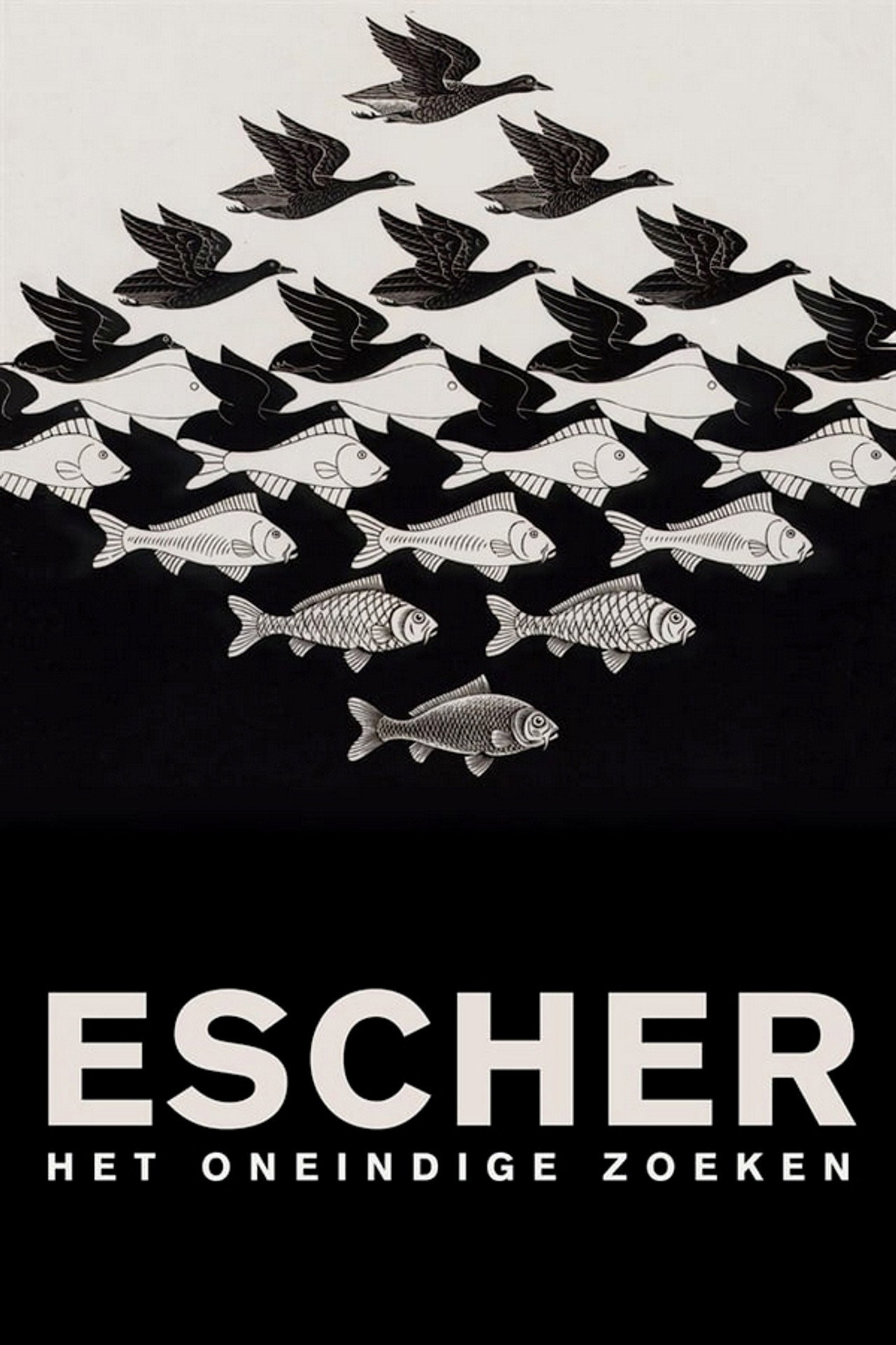 Escher: Het oneindige zoeken filmaffisch