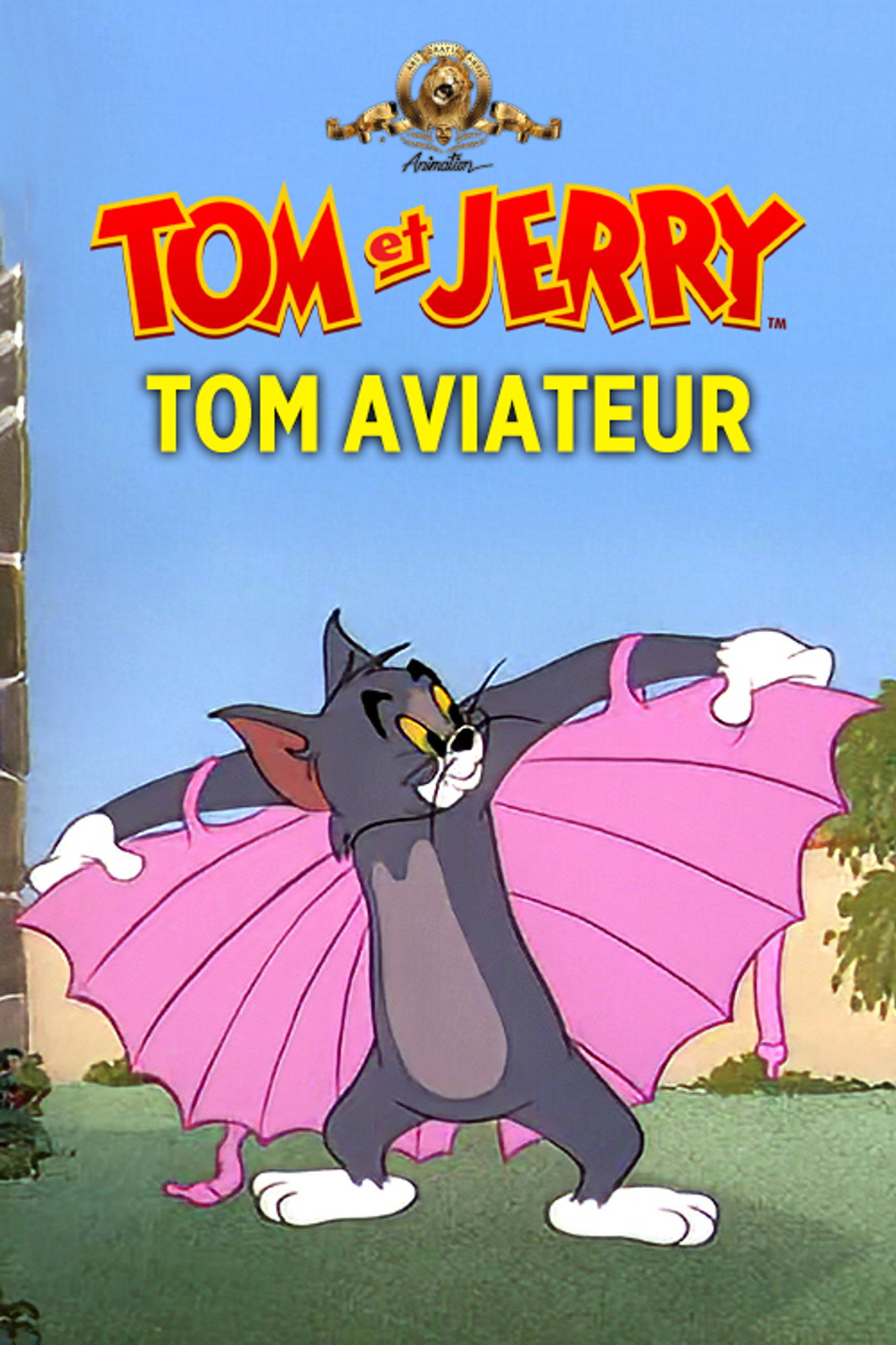 Tom aviateur poster