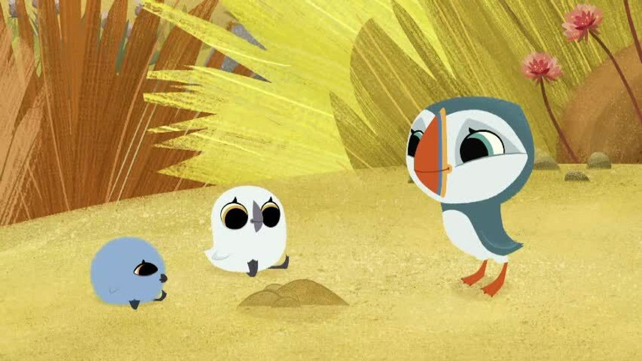 Puffin Rock — Épisode 14