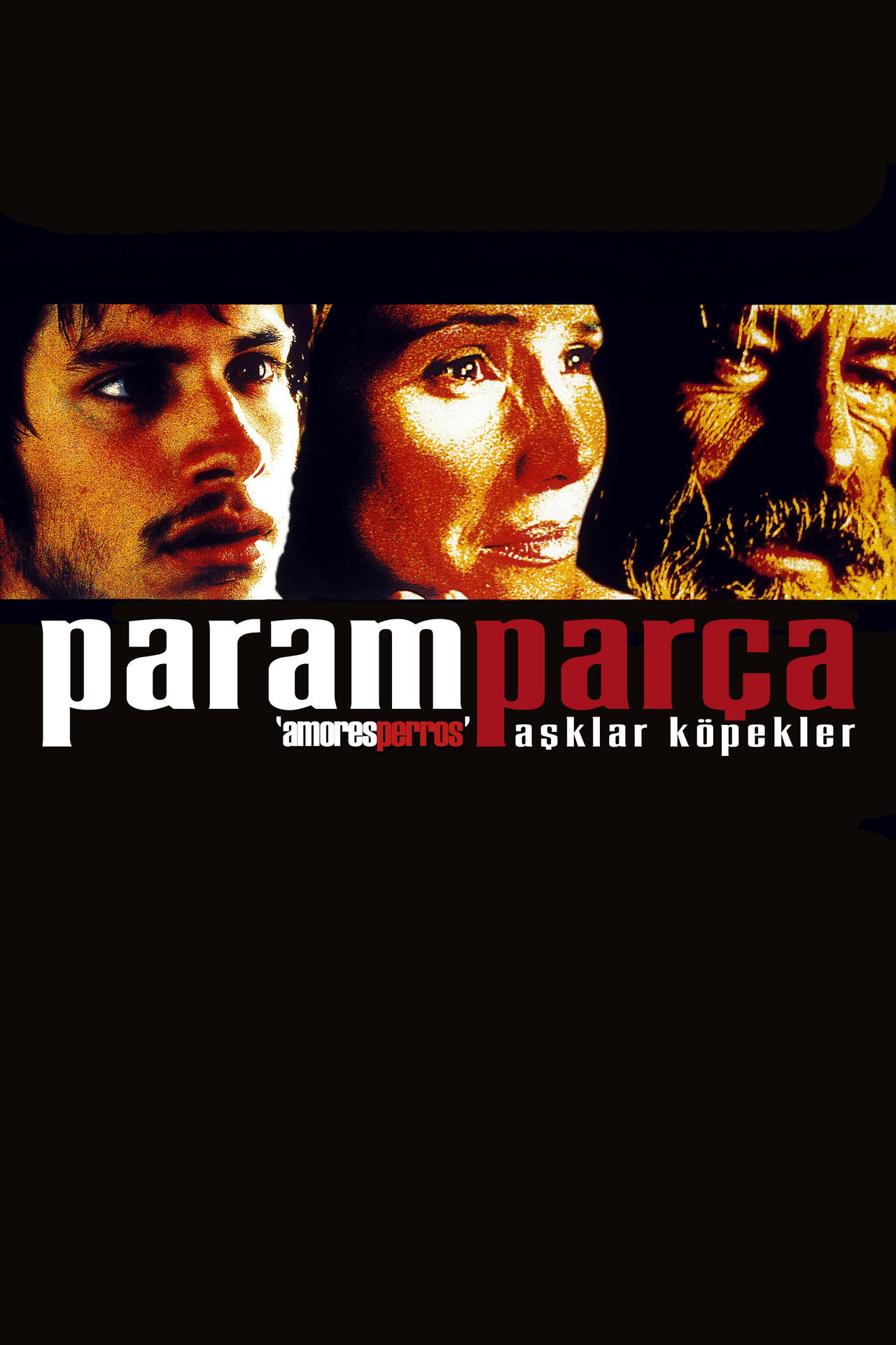 Paramparça Aşklar Köpekler Poster