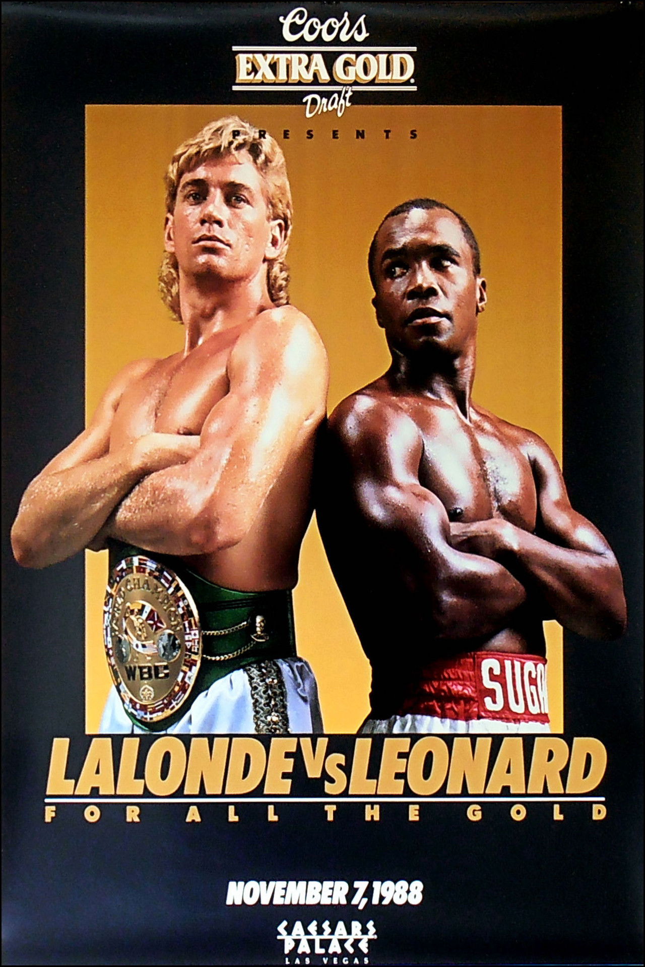 Sugar Ray Leonard vs. Donny Lalonde Backdrop