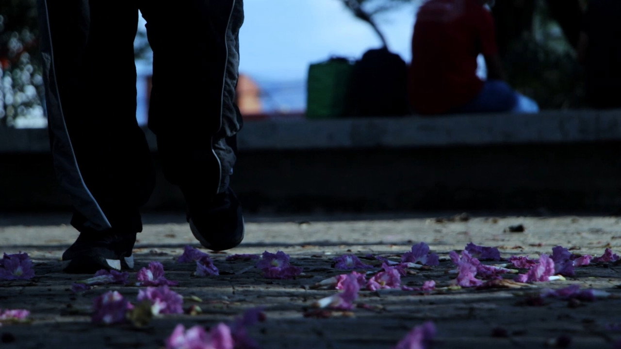 Bom te Encontrar still 7