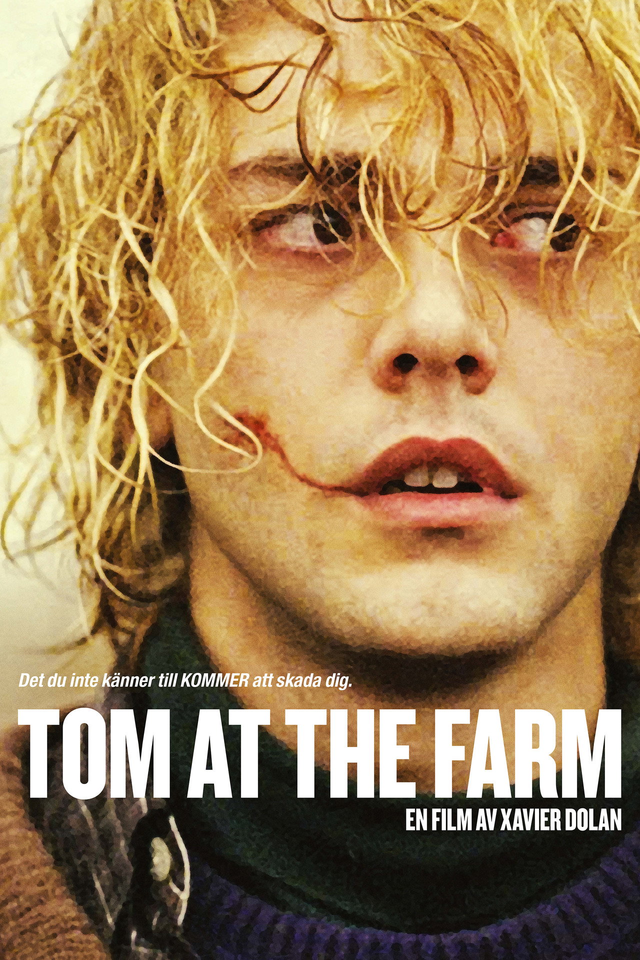 Tom at the farm filmaffisch