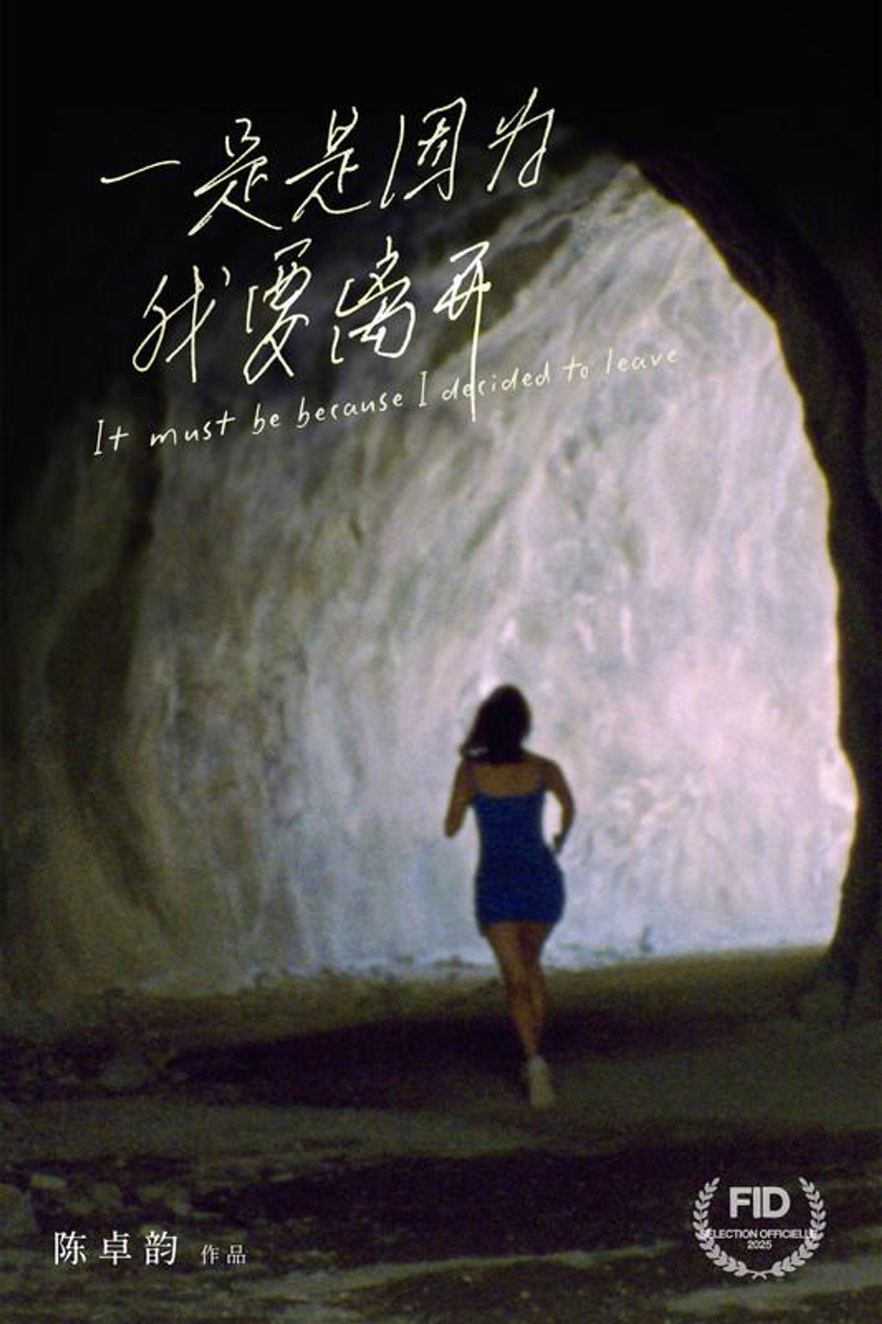 一定是因为我要离开 filmaffisch