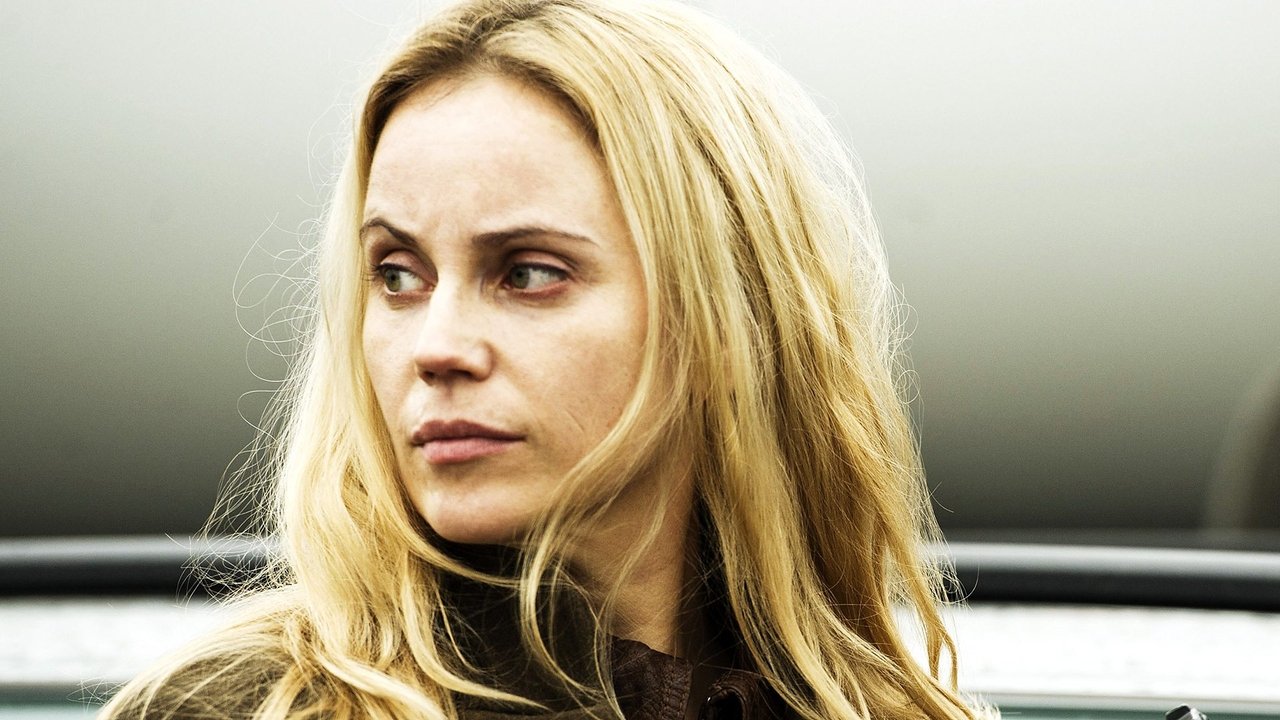 The Bridge - Season 1 Episode 8 : Episode 8