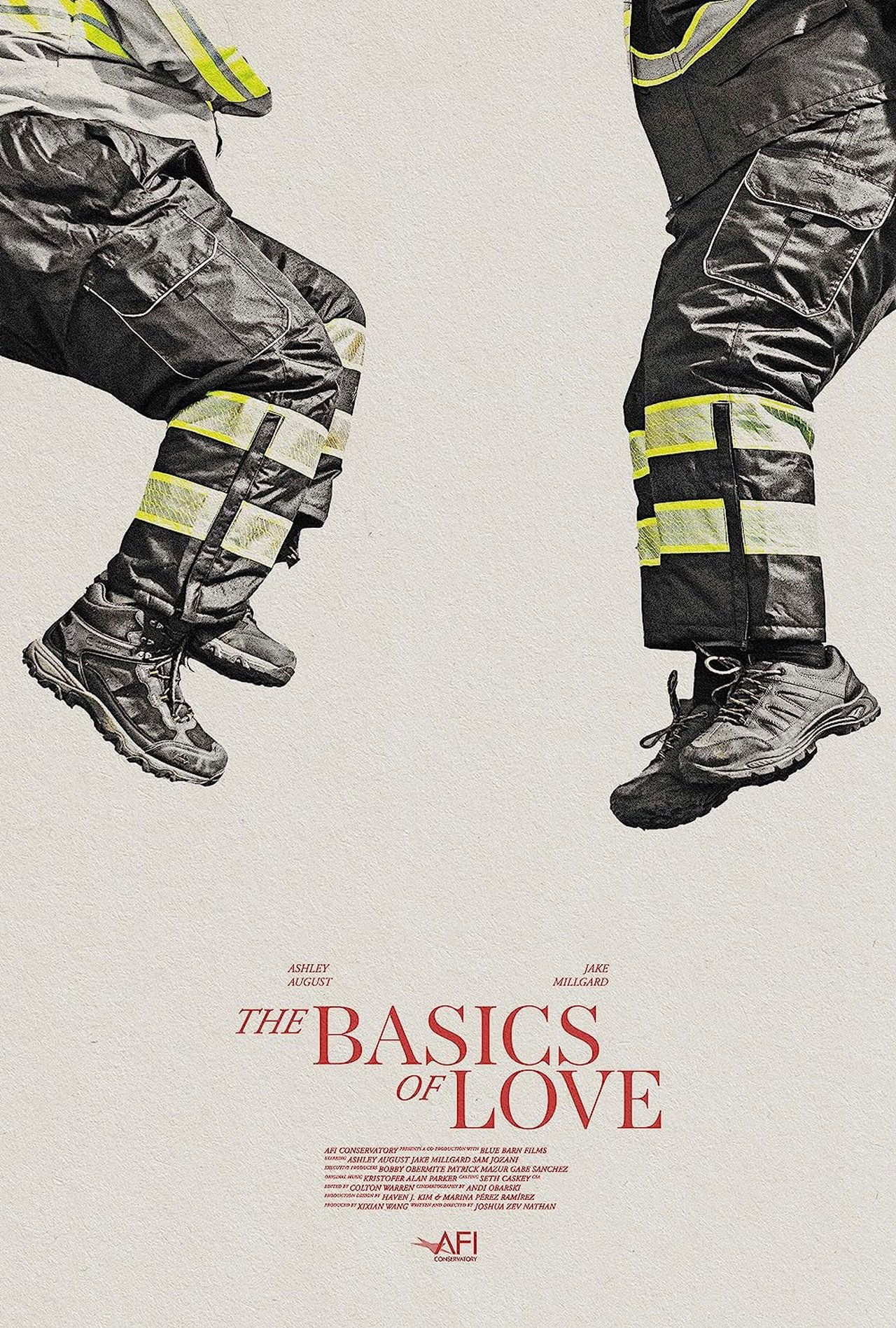 The Basics of Love The Basics of Love