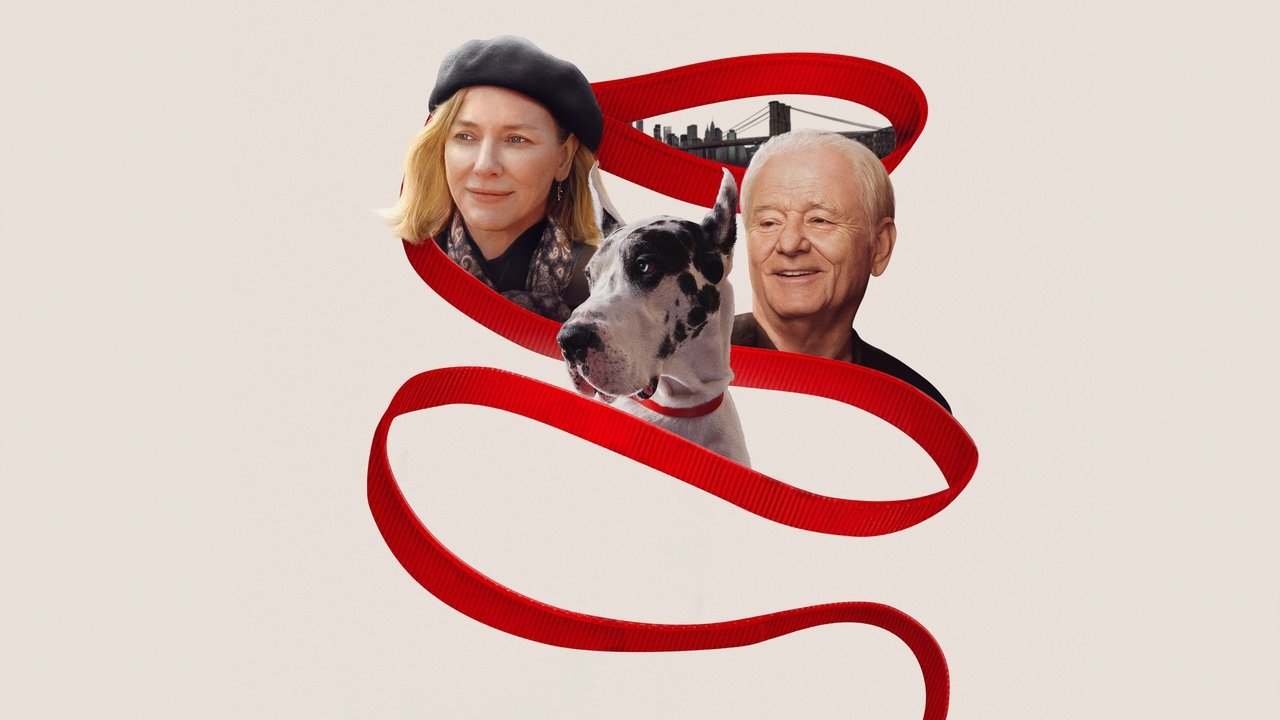 The Friend Movie Backdrop