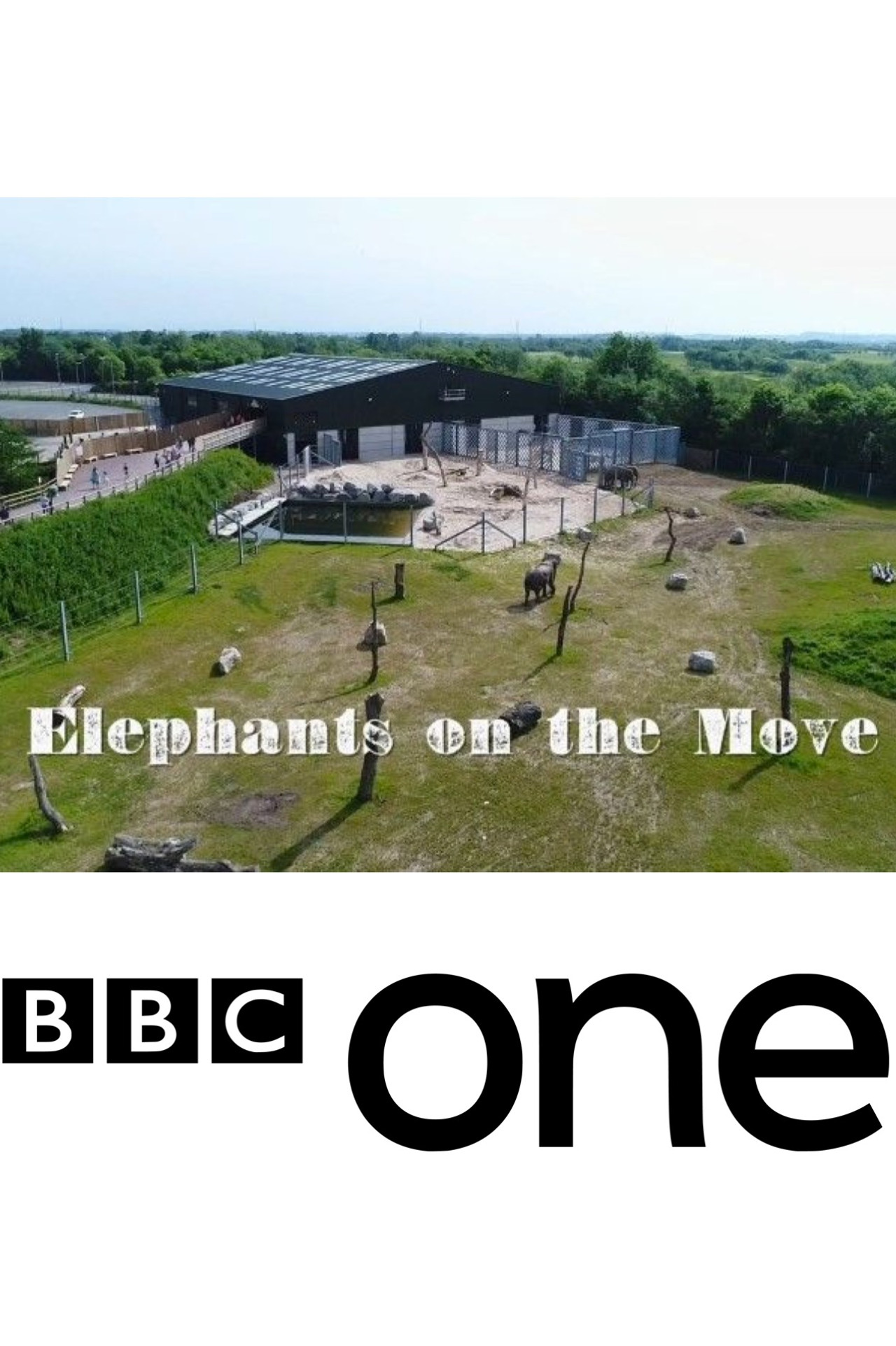 Elephants on the Move filmaffisch