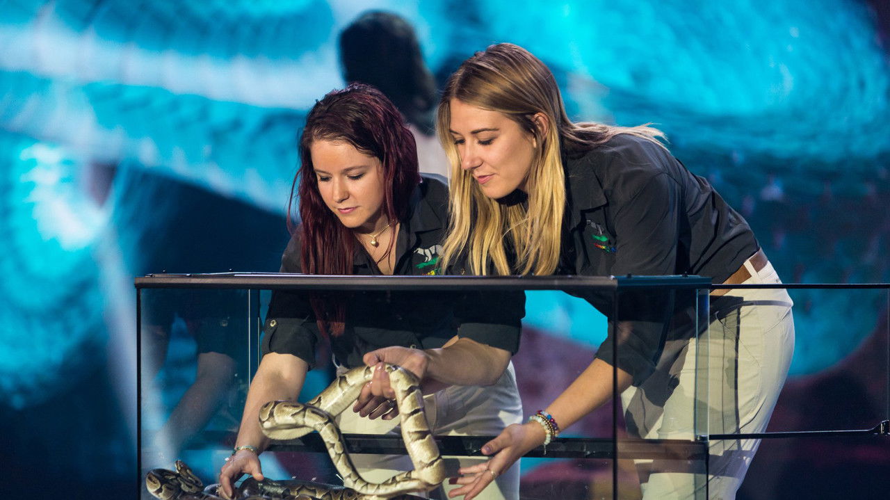 Lâchés lousses — Épisode 4