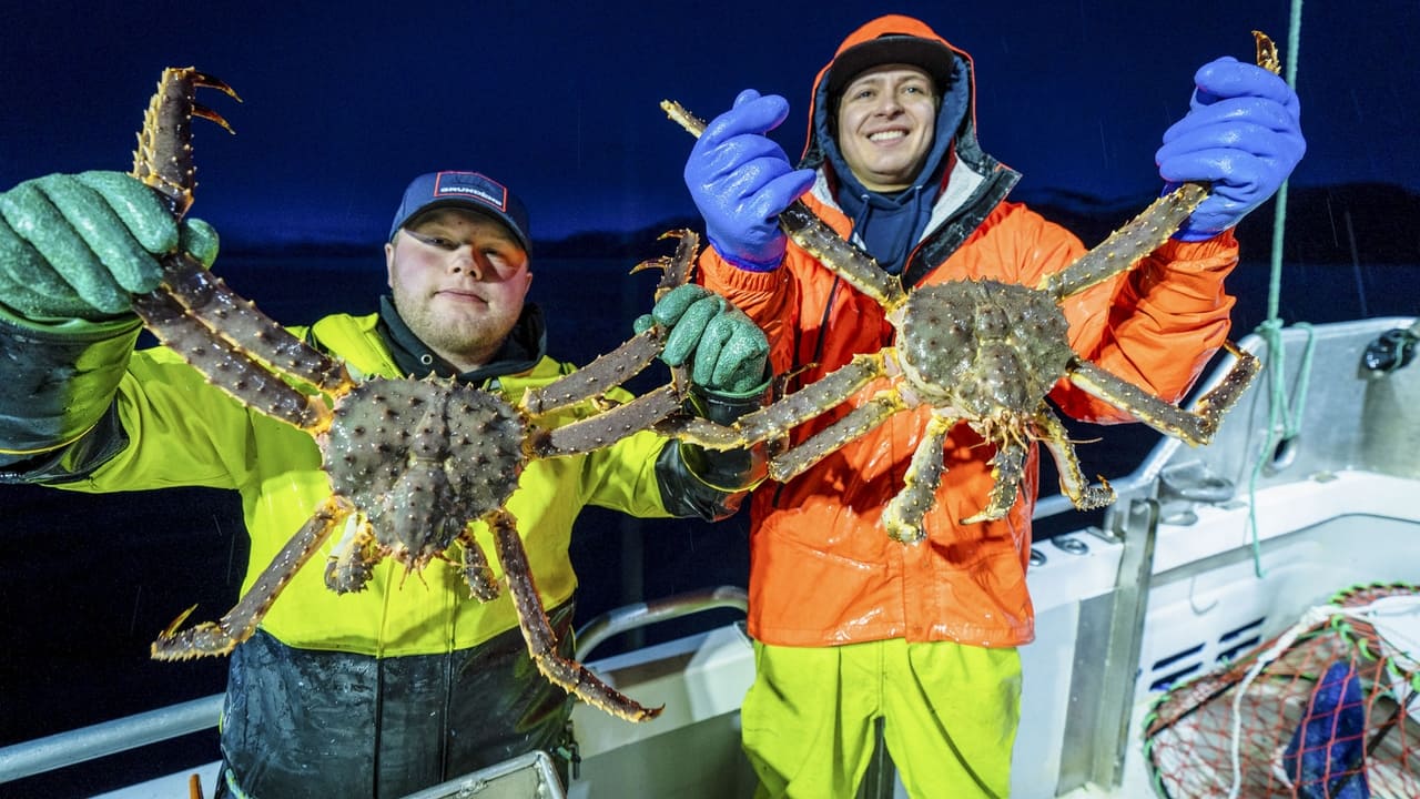 Deadliest Catch - Season 18 Episode 6 : Brother in the Bight