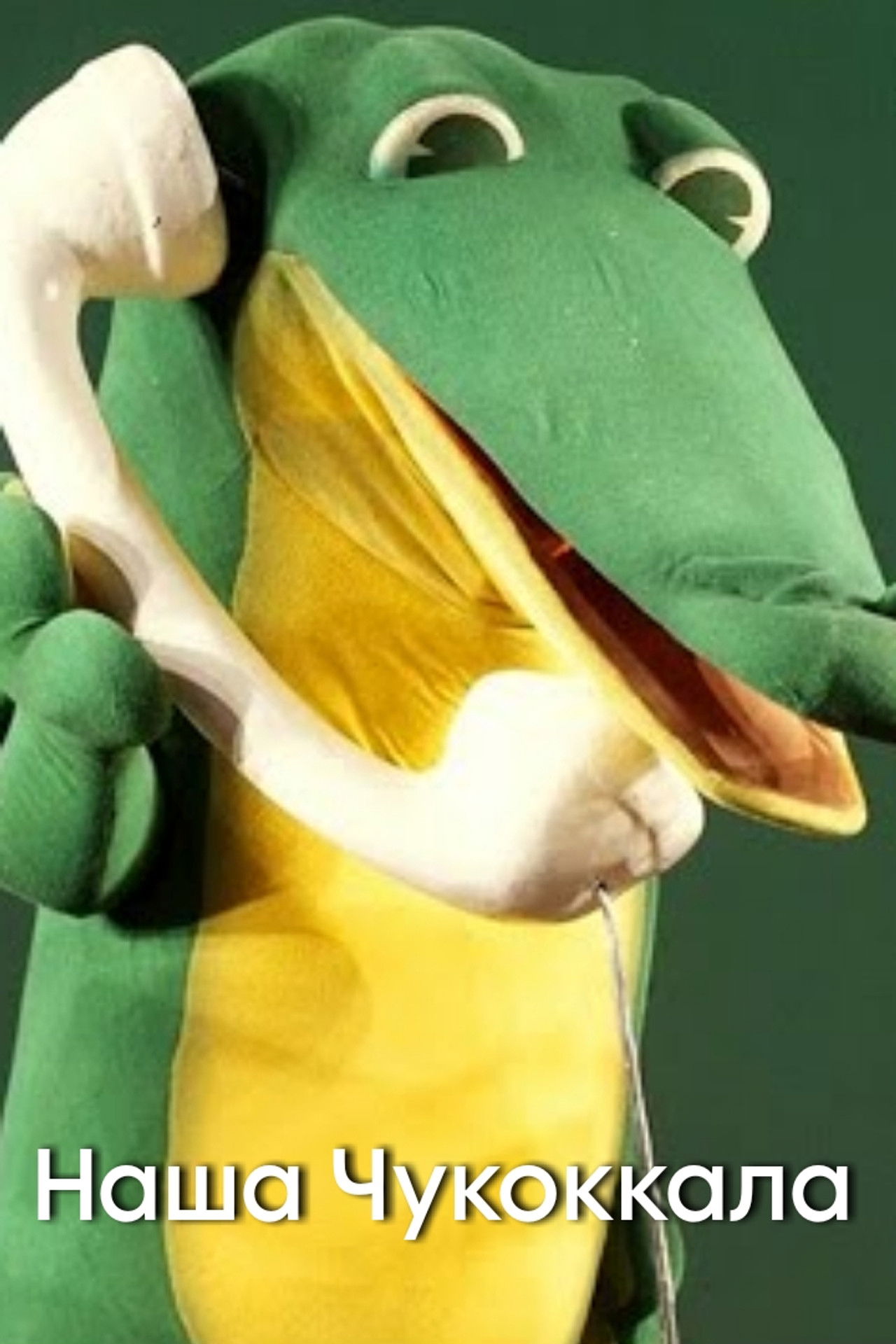 Our Chukokkala Backdrop