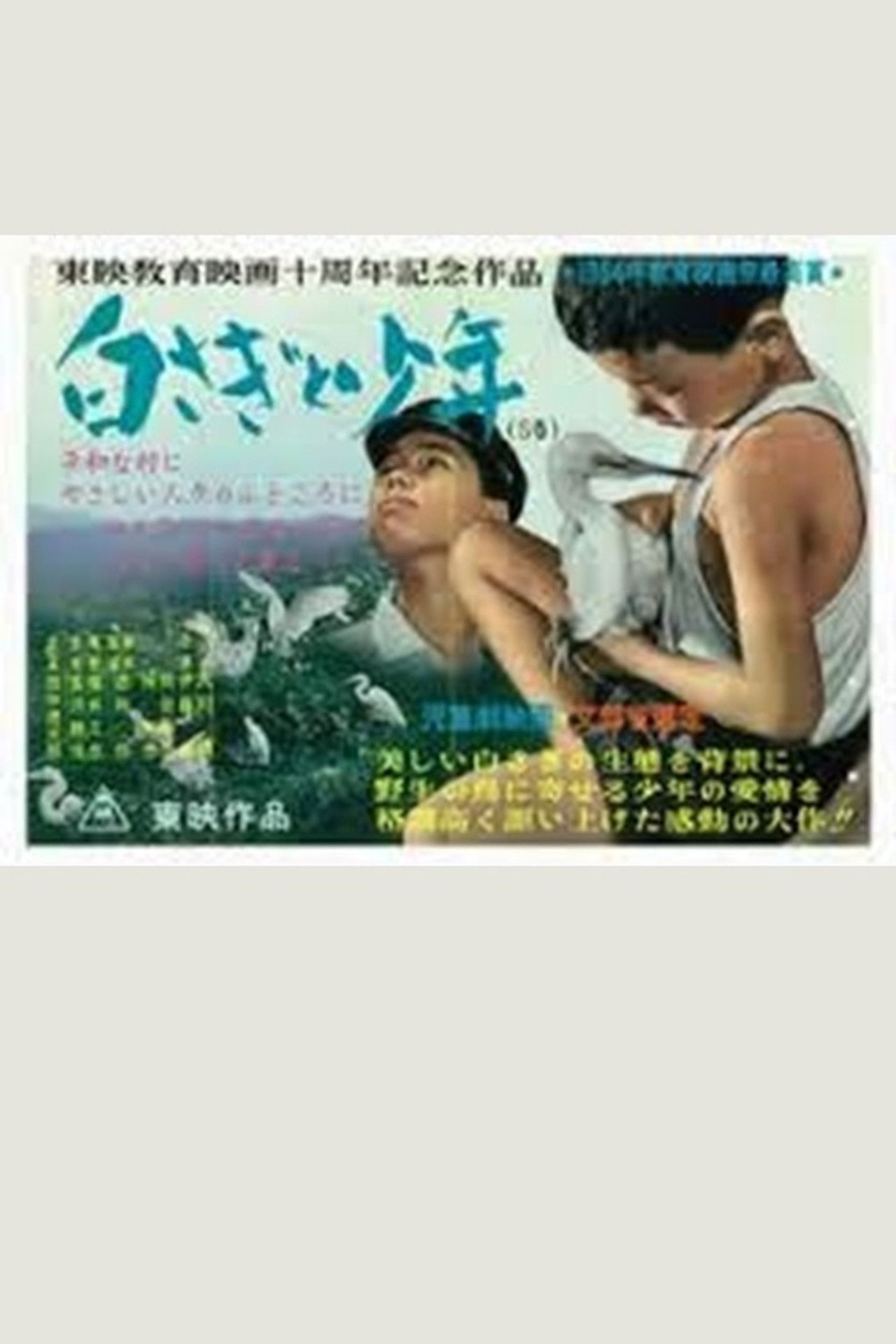 白さぎと少年 Backdrop