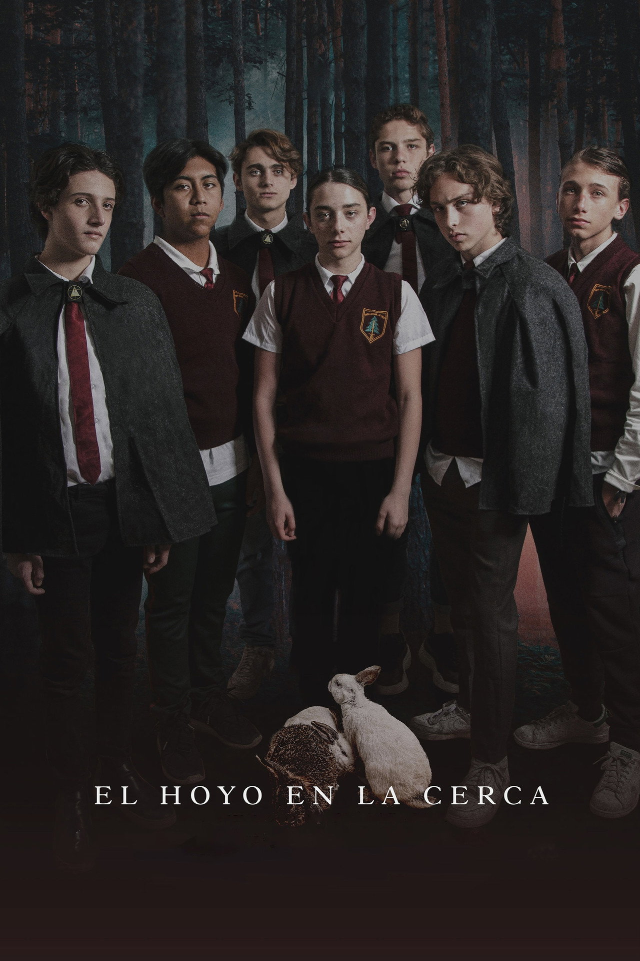 El hoyo en la cerca filmaffisch