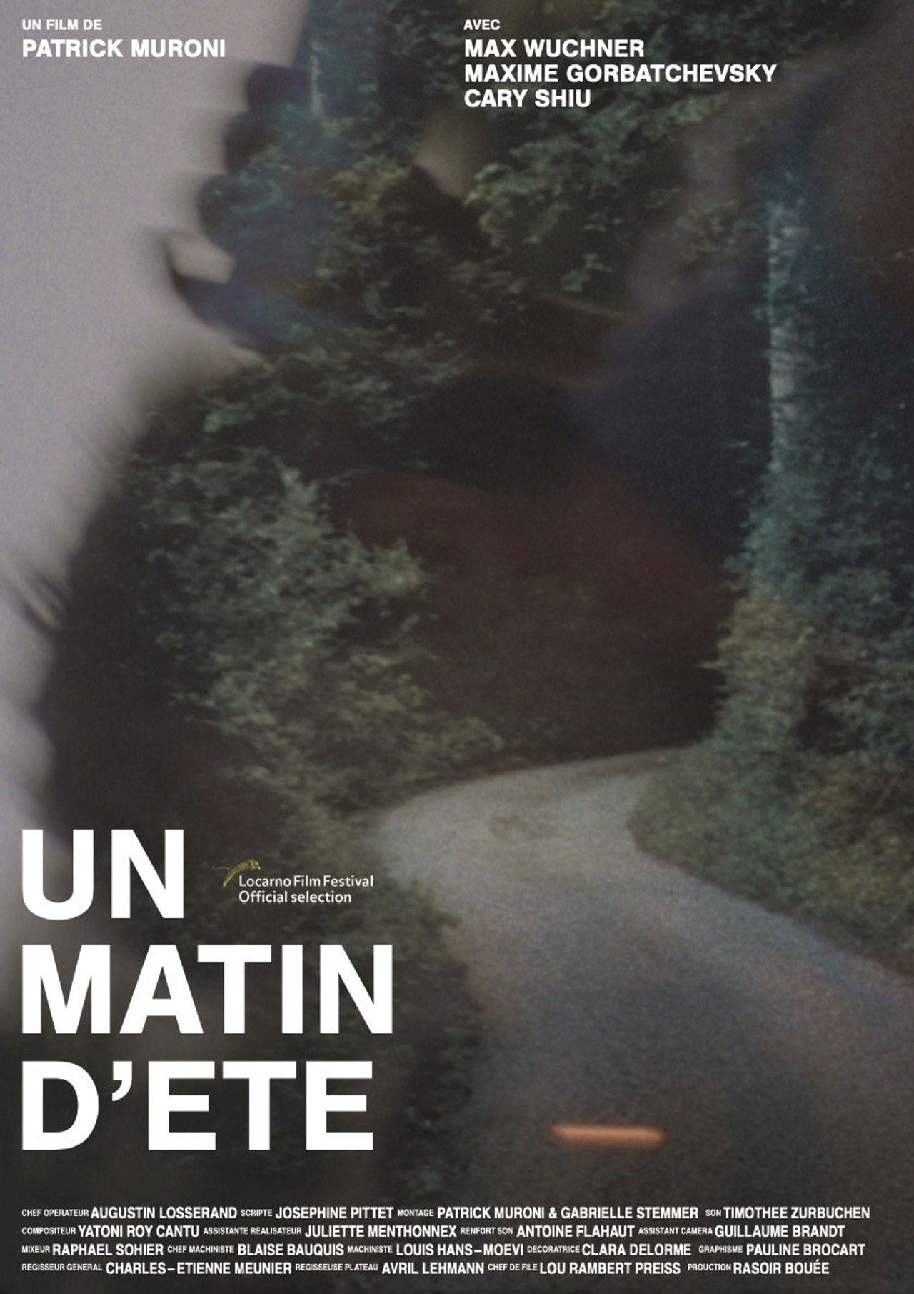 A Summer Morning Backdrop