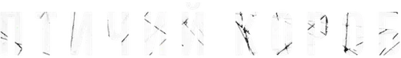 Птичий короб
