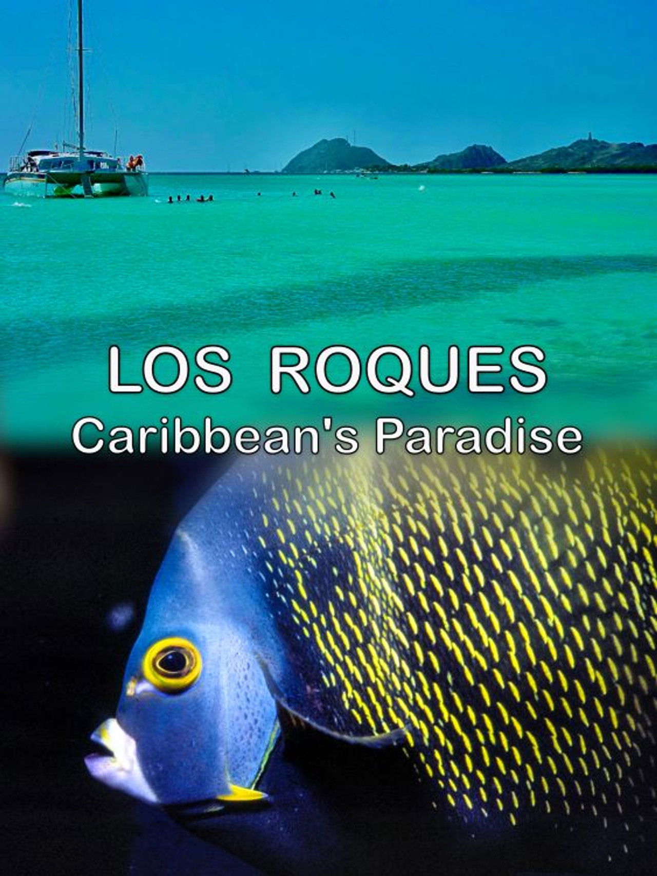 Los Roques, Caribbean's Paradise Backdrop
