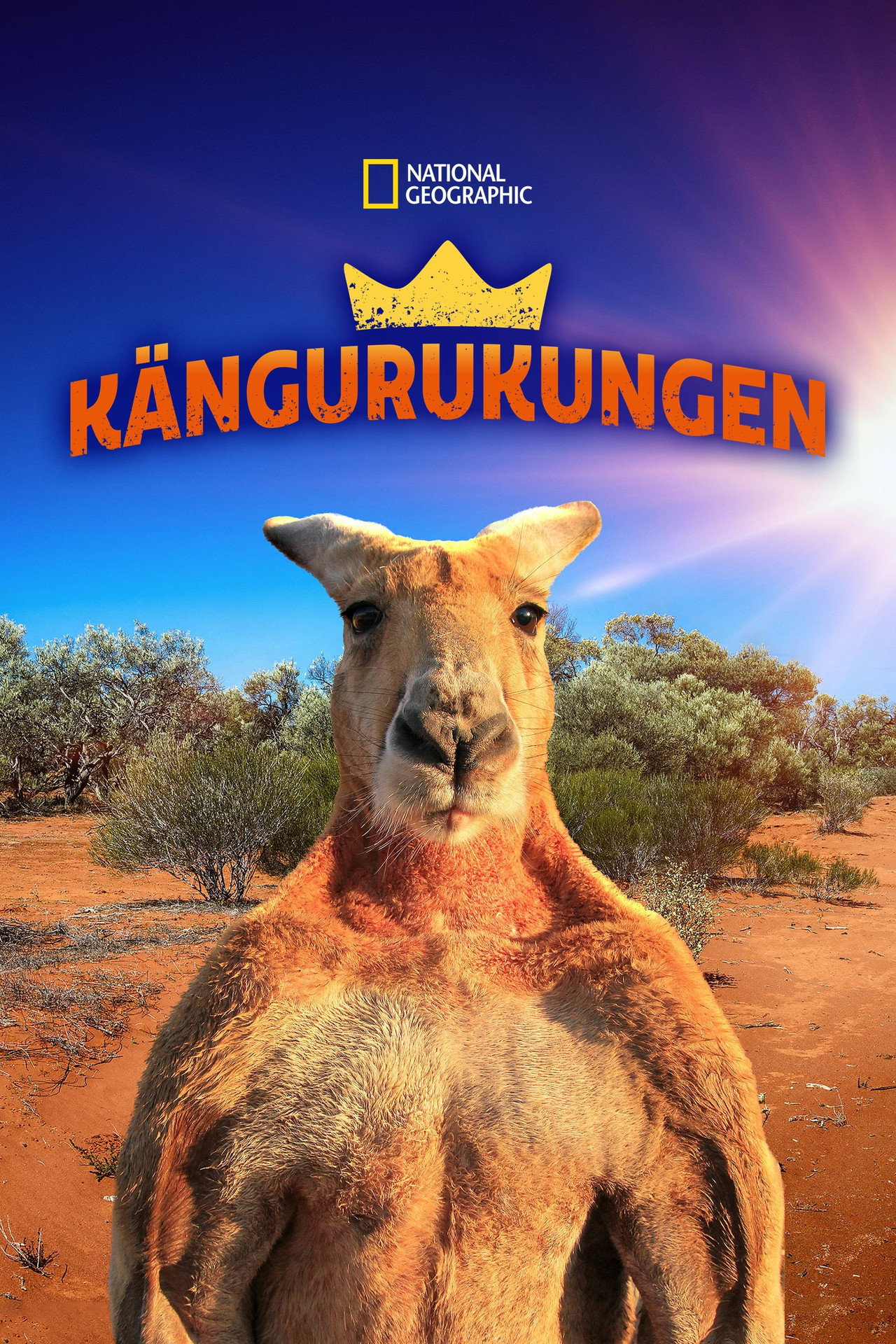 The Kangaroo King filmaffisch