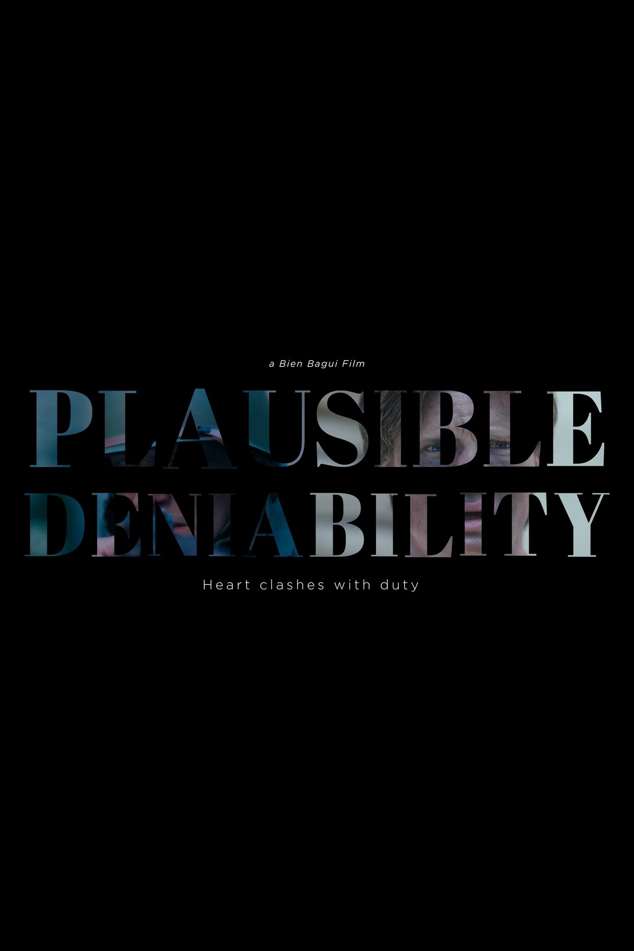 Plausible Deniability poster