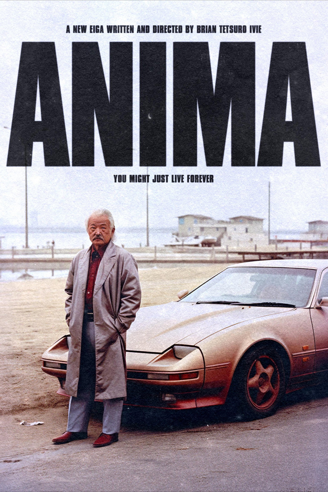 Anima poster