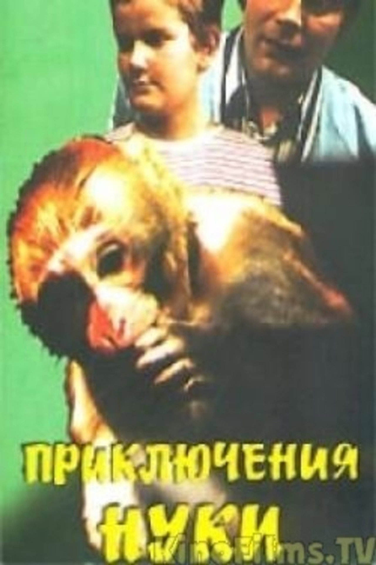 Приключения Нуки filmaffisch