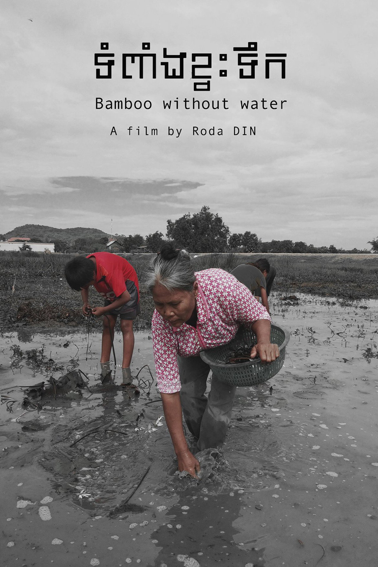 Bamboo without Water (2019)