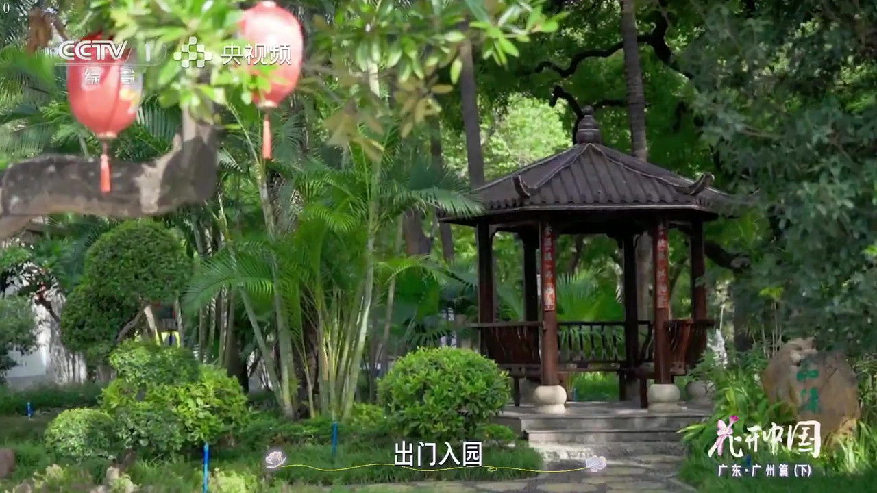 花开中国 — Épisode 8