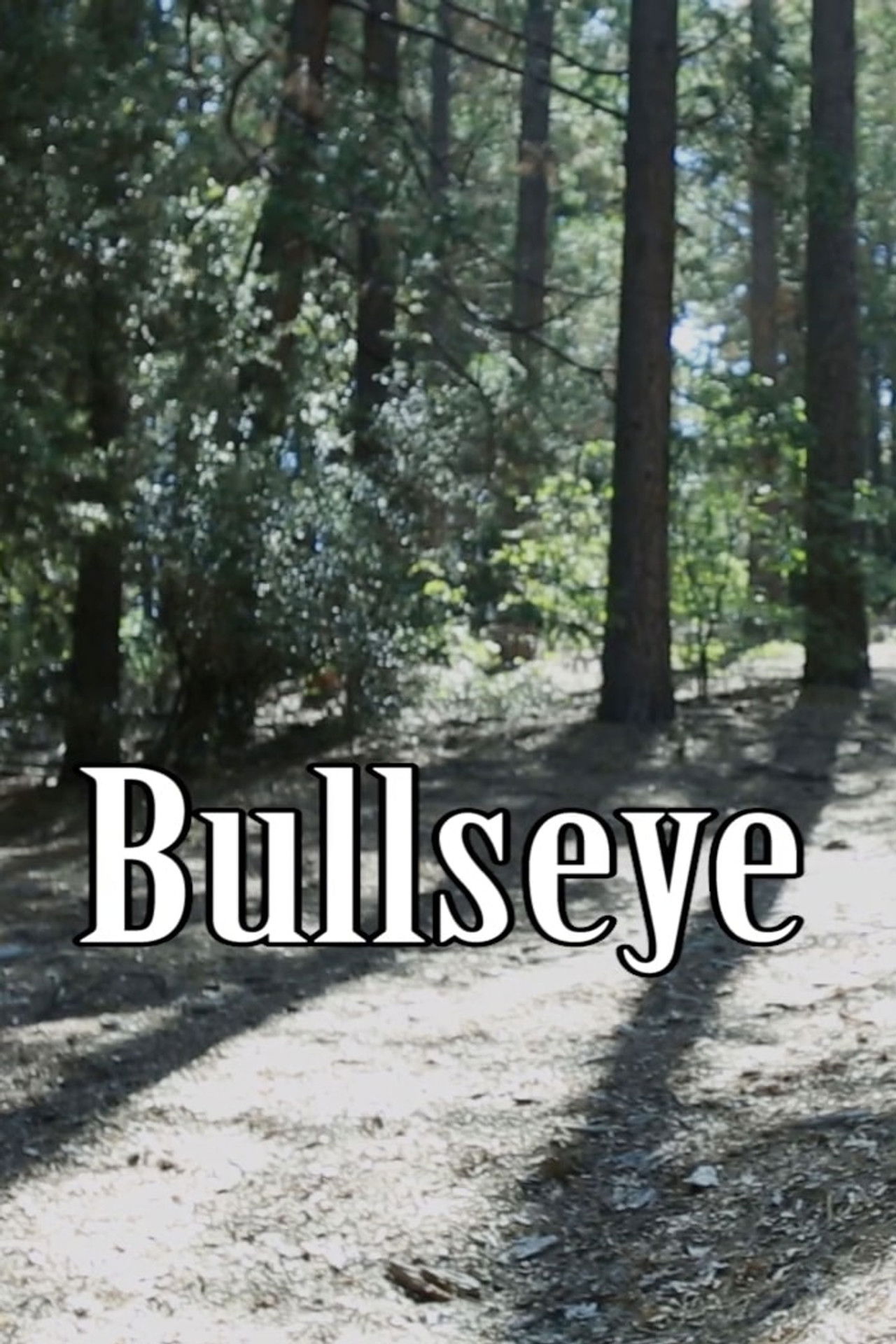 Bullseye Backdrop