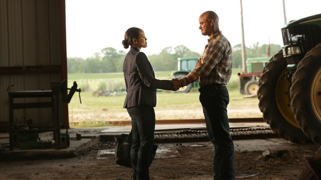 Queen Sugar - Season 1 Episode 5 : By Any Chance