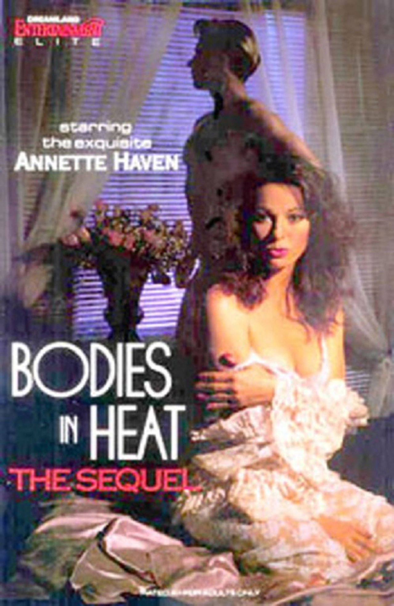 Bodies In Heat... The Sequel Backdrop