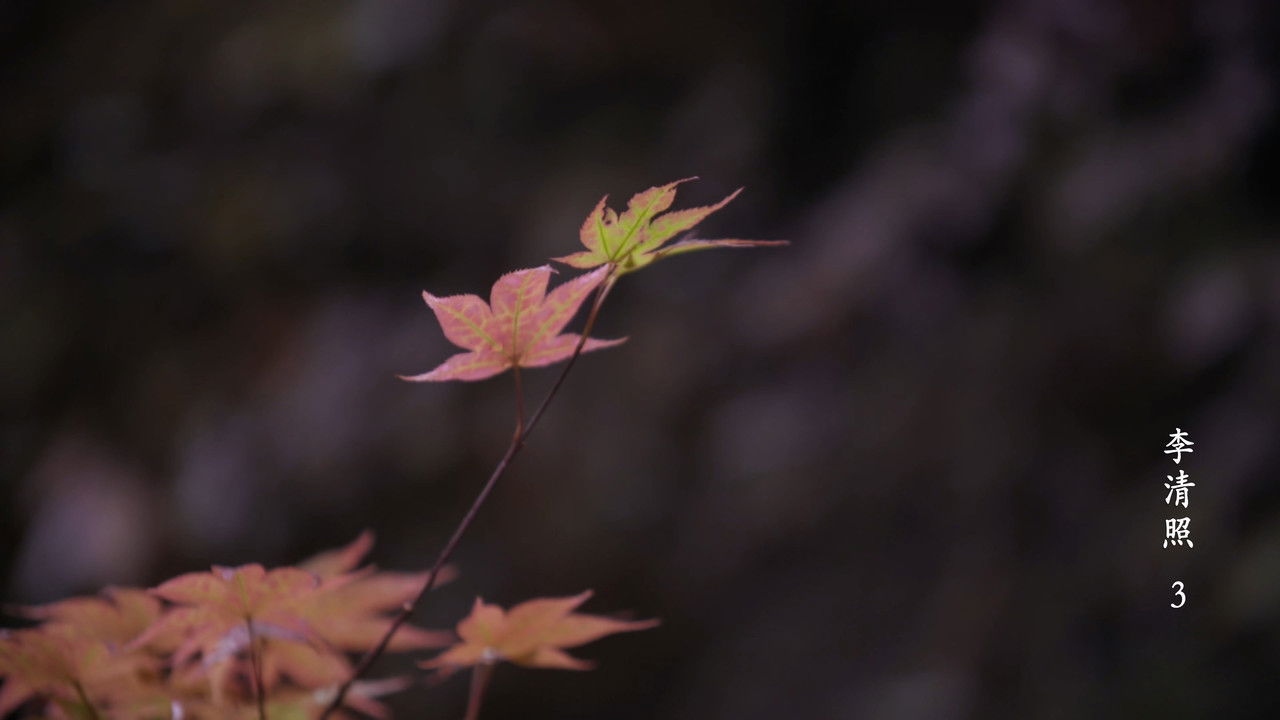 千古风流人物 — Épisode 7