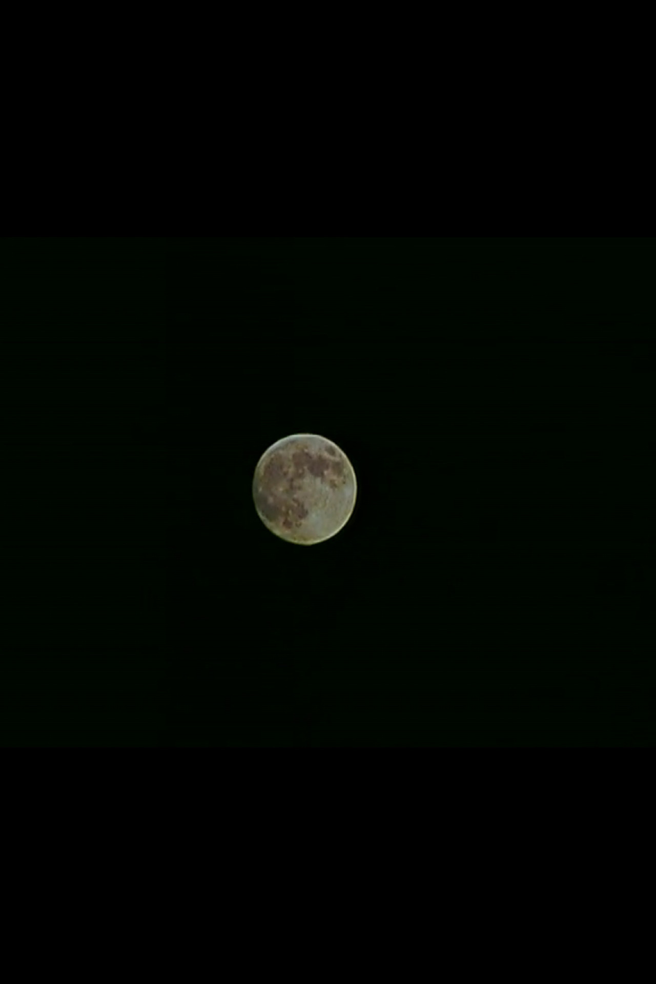 Forever and Sunsmell filmaffisch