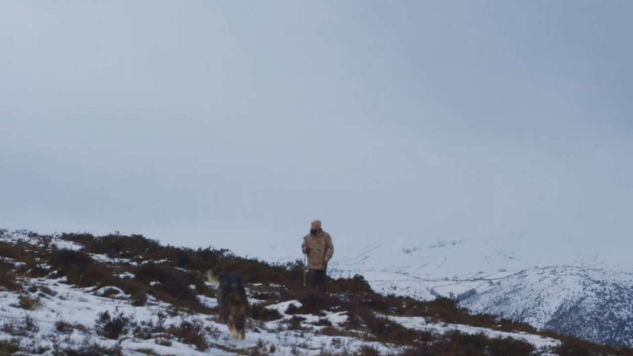 Savages: The Wolf's Tale backdrop