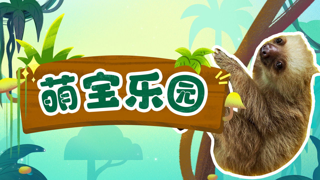 斑马百科探索 — Épisode 1