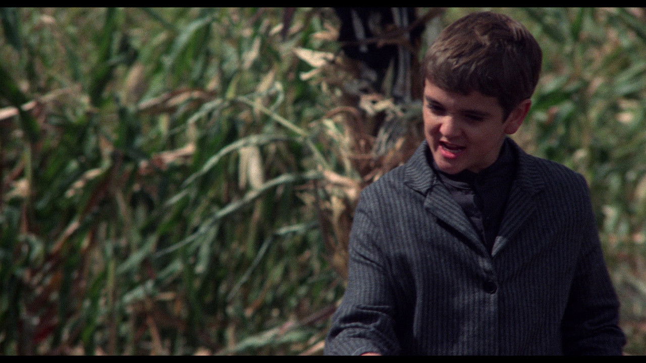 Children of the Corn (1984)