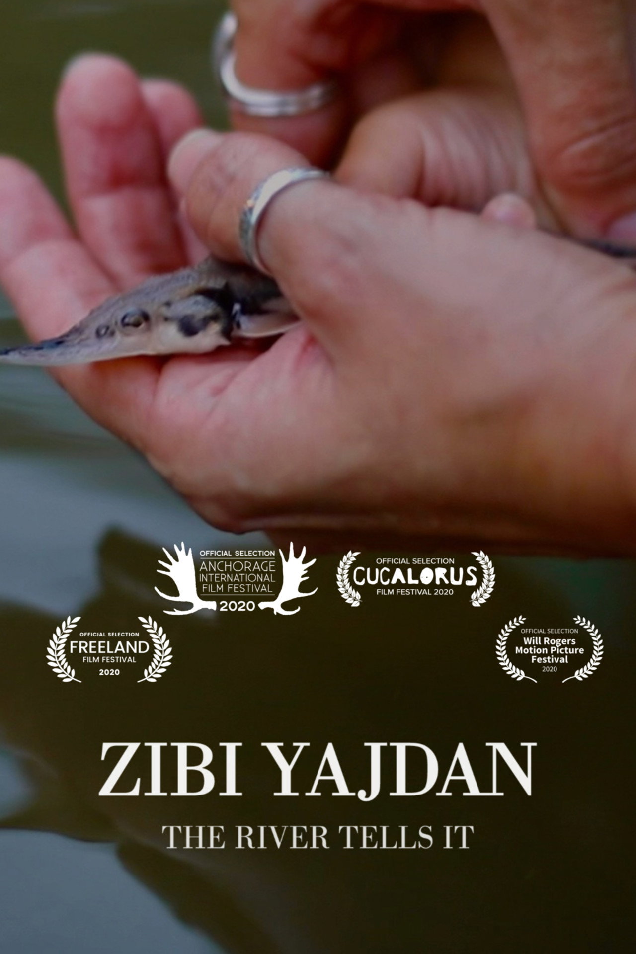 Zibi Yajdan filmaffisch
