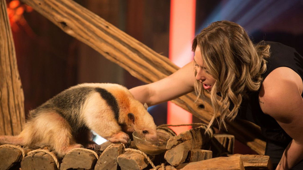 Les poilus — Épisode 12