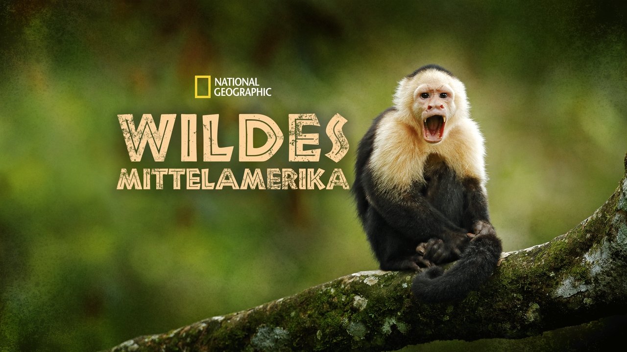 Wildes Mittelamerika background