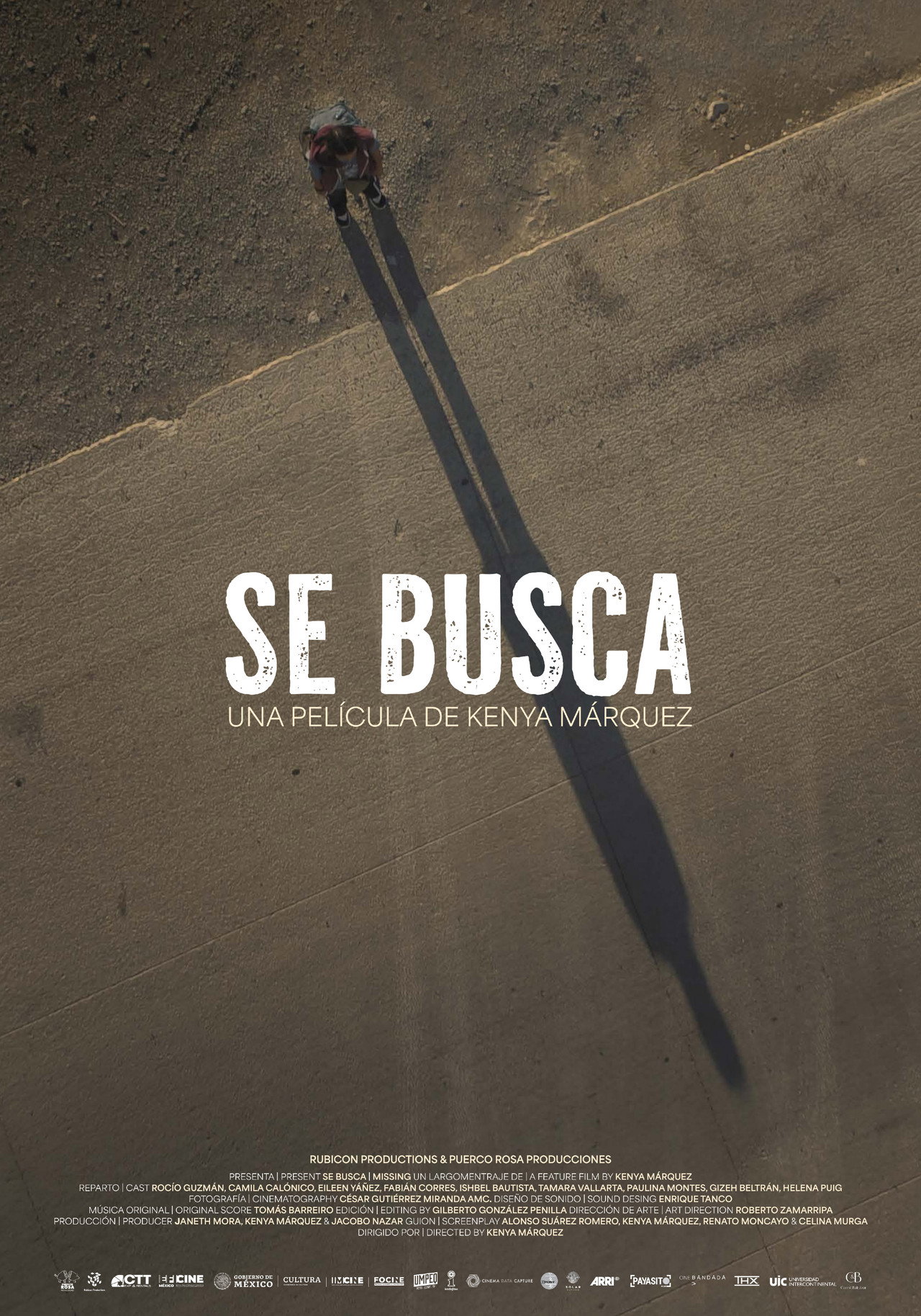 Se busca filmaffisch
