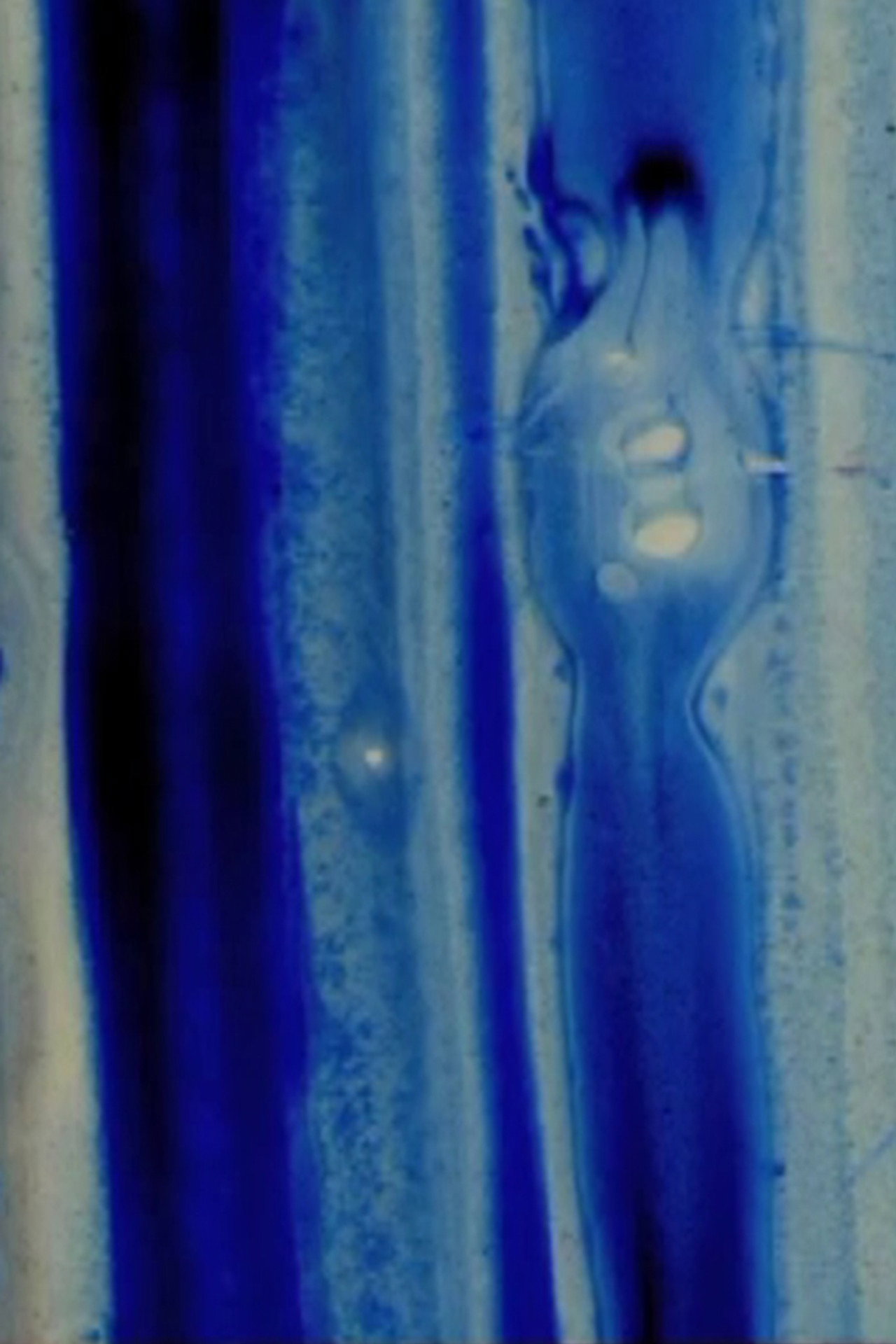 Nitro Cellulose filmaffisch