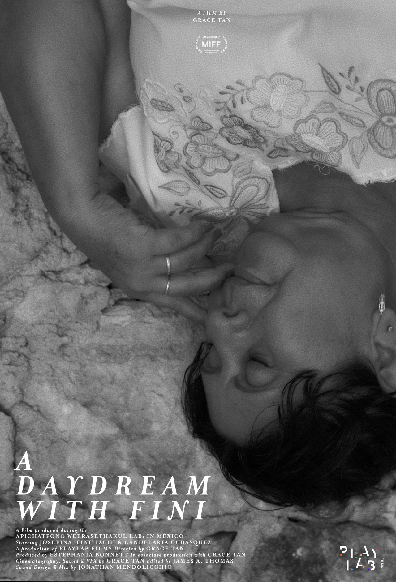 A Daydream with Fini filmaffisch