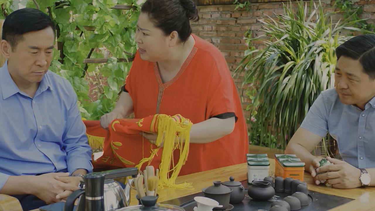 鲜花盛开的山村 — Épisode 20