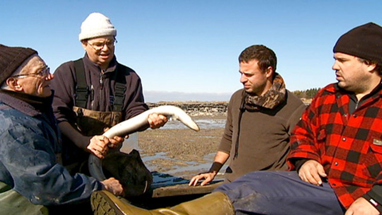 Martin sur la route — Épisode 6